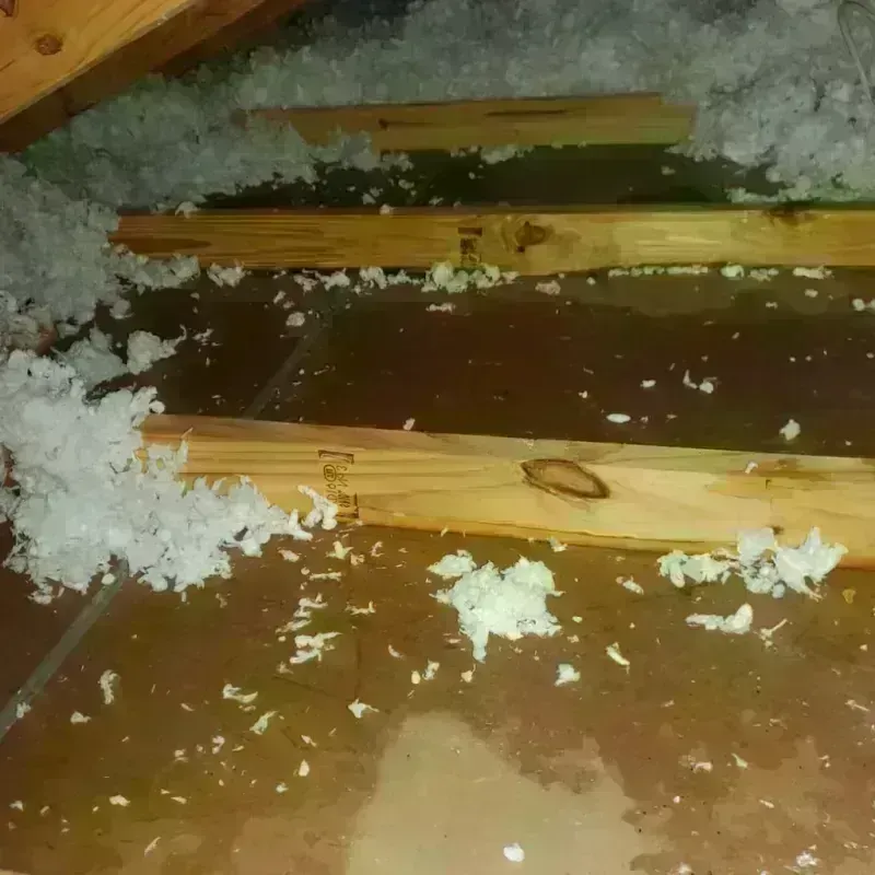 Attic Water Damage in Ridgefield, NJ