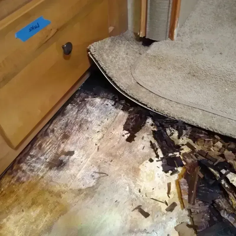 Best Wood Floor Water Damage Service in Ridgefield, NJ